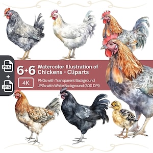 Poulet aquarelle PNG Bundle pour Sublimation & Clipart, Clipart Bundle fond Transparent, téléchargement numérique, usage Commercial