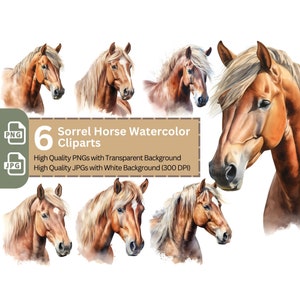 Sorrel Horse Cliparts 6 High Quality PNGs Animal Clipart Nursery Art Card Making Clip Art Digital Paper Craft Horse Sublimation Design