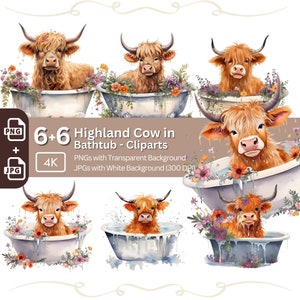 Highland Cow in Bathtub PNG Bundle for Sublimation & Clipart, Watercolor, Clipart Bundle, Transparent Background, Digital Download