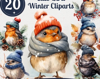 Winter Birds with Bobble Hat Clipart 20 PNG Bundle Seasonal Watercolor Images Junk Journal Graphic Feathered Friends Scrapbook Clipart