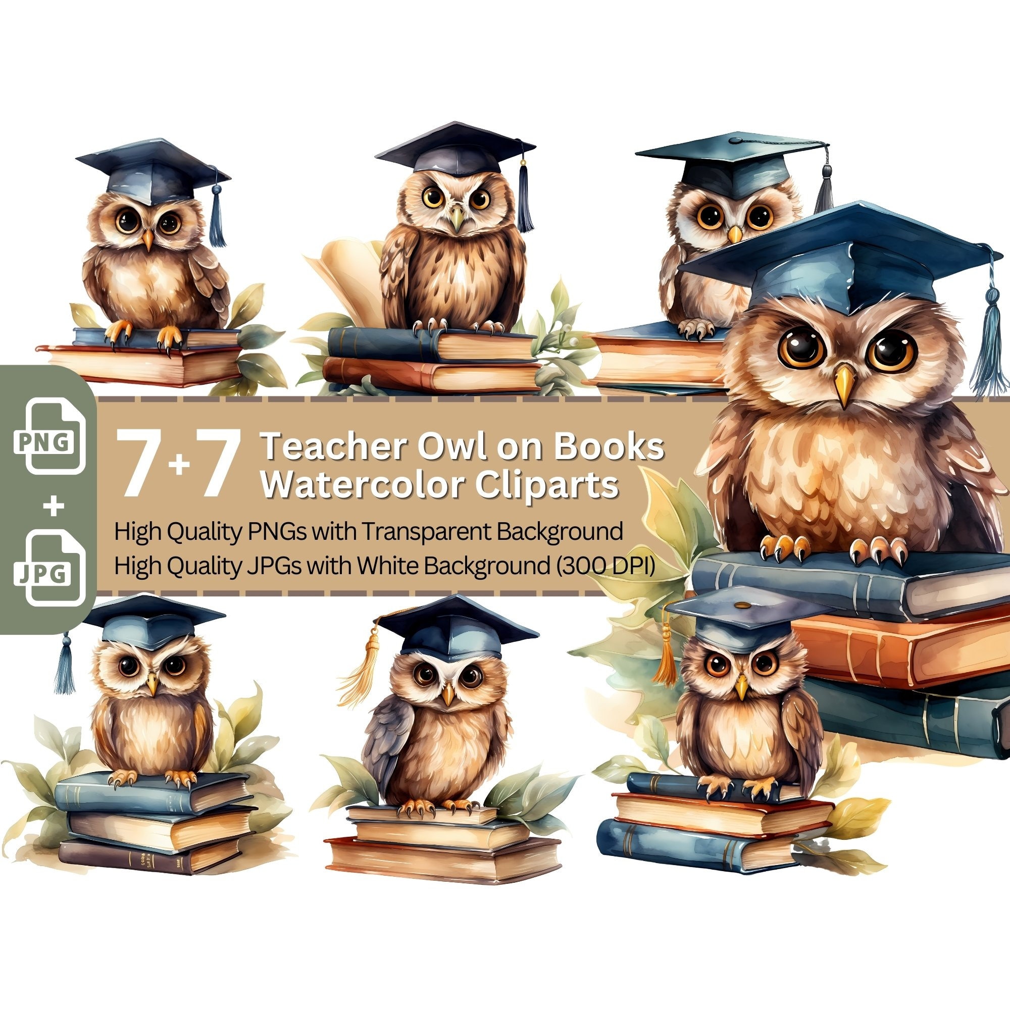 Clip Art Teacher Owl