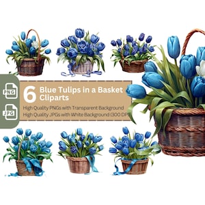 Korb mit blauen Tulpen PNG Bundle für Sublimation & Clipart, Clipart Bundle transparenten Hintergrund, digitaler Download, kommerzielle Nutzung