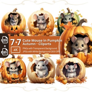 Simpatico topo all&#39;interno della zucca 7 + 7 PNG JPG Bundle Halloween Animal Clipart Nursery Art Card Making Clip Art Digital Paper Craft Mouse Graphic