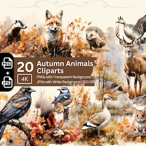 Clipart de animais de outono 20 PNG pacote de imagens de outono para fazer cartões de clipart sazonal artesanato de papel digital aquarela outono animal lixo kit de diário