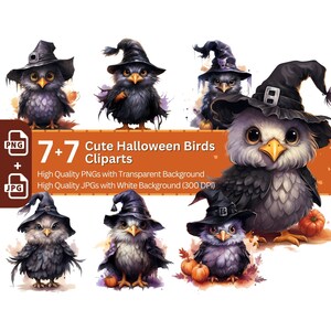 Halloween oiseau avec chapeau de sorcière Clipart 7 + 7 PNG Bundle Halloween Invitation carte Design papier artisanat livre Clipart enfants fête graphique
