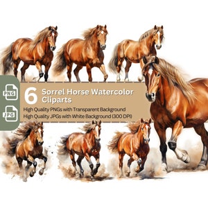 Sorrel Horse Cliparts 6y High Quality PNGs Animal Clipart Nursery Art Card Making Clip Art Digital Paper Craft Horse Sublimation Design