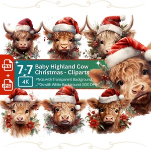 Bébé Highland Cow avec Santa Hat Clipart 7+7 PNG JPG Carte d’invitation de Noël Graphique Papier Artisanat Illustration T-Shirt Sublimation Design
