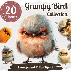 Grumpy Birds Cliparts 20 PNG Paquete Ilustraciones de pájaros divertidos Lindos dibujos animados de pájaros gruñones Gráficos de animales de pájaros esponjosos Archivos PNG transparentes