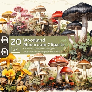 Ensemble de 20 cliparts de champignon des bois Images de champignon des bois Graphismes de champignon vénéneux saisonnier Papier numérique Artisanat Kit de journal indésirable forestier