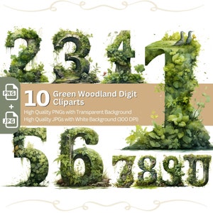 Groene bos nummers clipart 10x PNG/JPG bundel fancy cijfers voor uitnodigingskaarten Moss Fern Ivy lettertype boek illustratie grafisch ontwerp