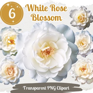 White Rose Blossom Clipart PNG Bundle for Sublimation Wedding Invitation Clipart Digital Paper Craft Design Scrapbook Graphic Junk Journal