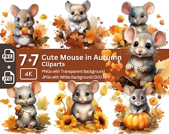 Cute Mouse in Autumn 7+7 PNG JPG Bundle Fall Animal Clipart Nursery Art Card Making Clip Art Digital Paper Craft Mouse Graphic Sublimation
