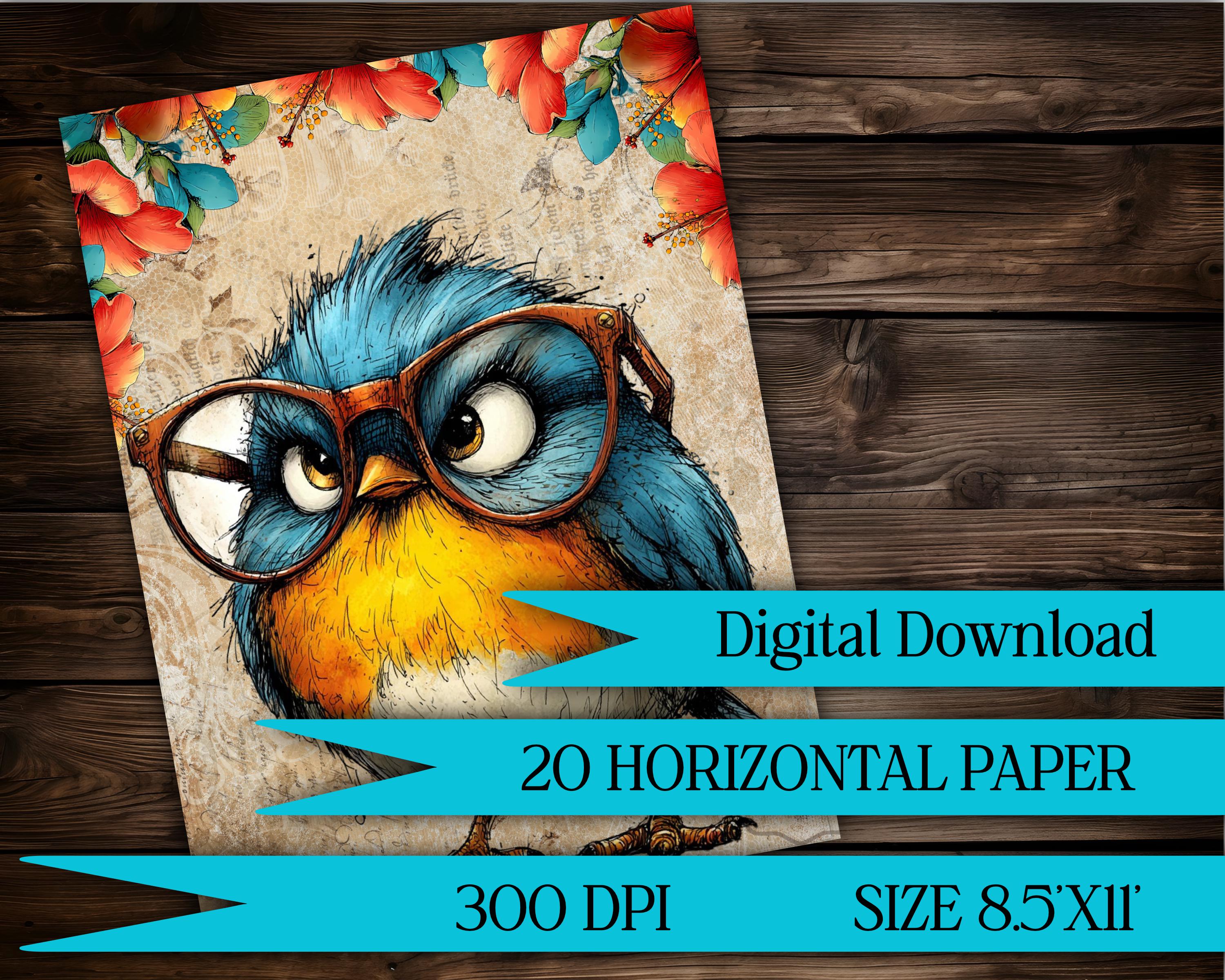 Funny Birds Digital Paper Pack | Printable Scrapbook Paper | Bird ...