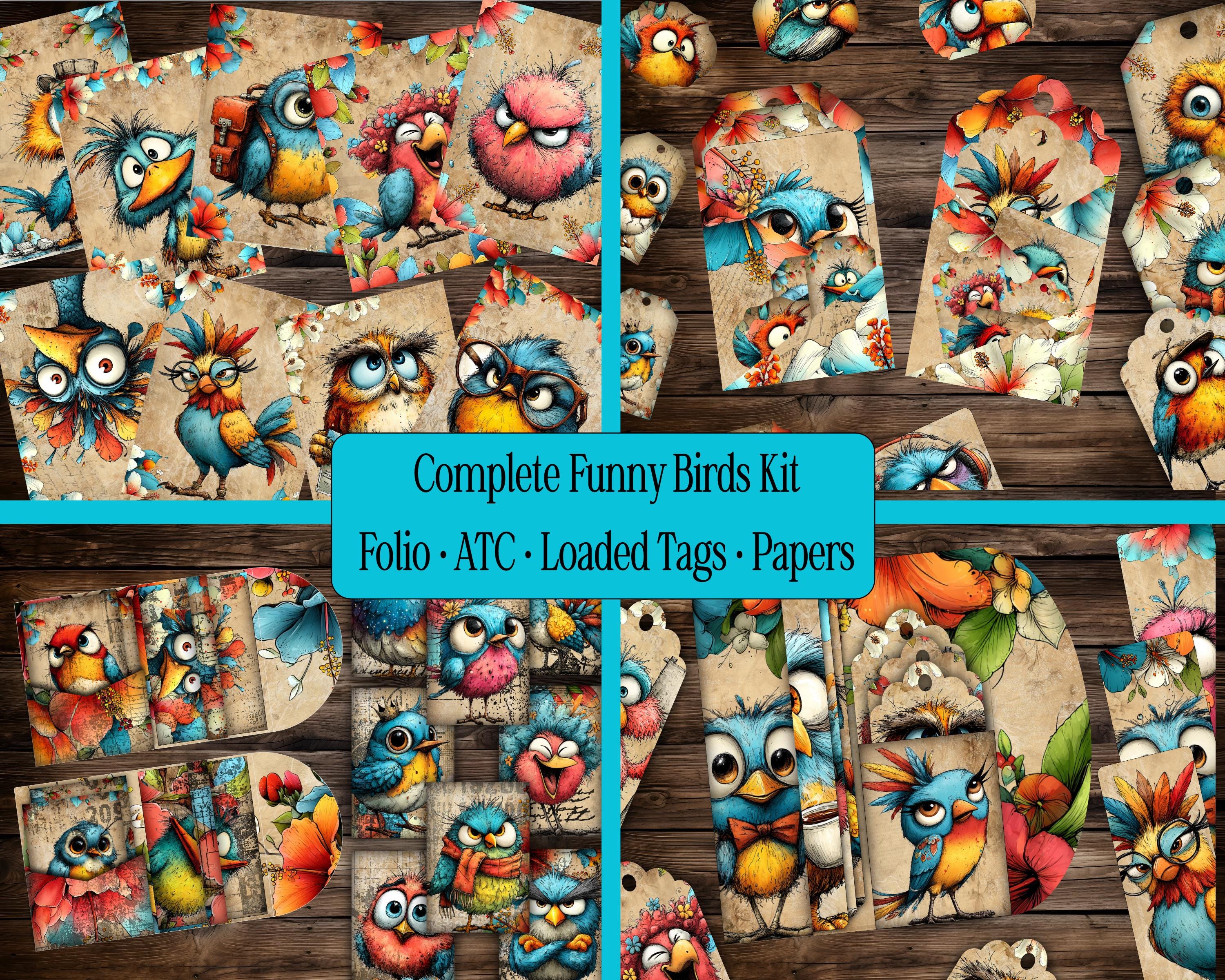 Funny Birds Digital Paper Pack | Printable Scrapbook Paper | Bird ...