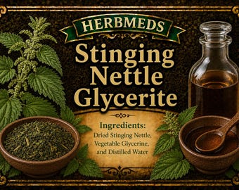 Stinging nettle glycerite
