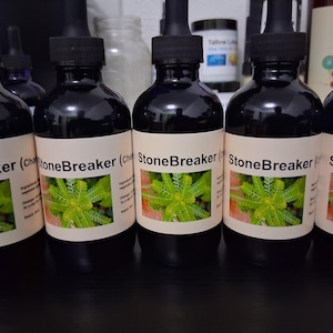 Stonebreaker glycerite