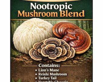 nootropic mushroom blend 4 oz