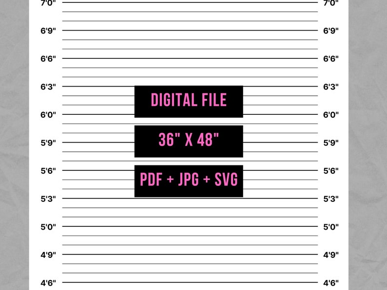 Mugshot Backdrop, Police Line Up, Jail Props, Police Theme, Jail Theme