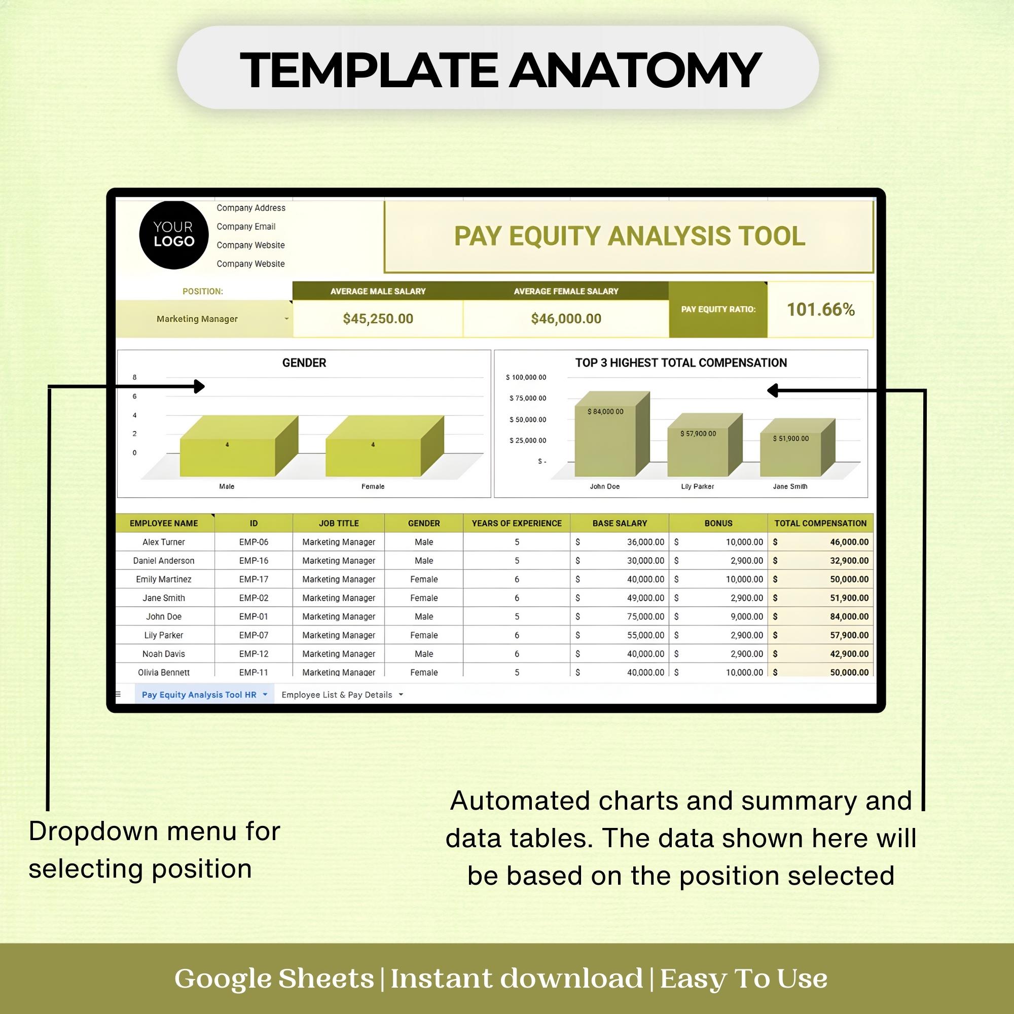 Pay Equity Analysis Excel Template: HR Salary Tracker (google Sheet) - Etsy