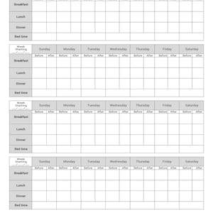 Dagelijks bloedsuikerlogboek, afdrukbare sjabloon bloedsuikerlogboek, bloedglucose-tracker, diabetisch logboek, bloedsuiker-tracker, Health Tracker, A4, A5