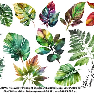 MEGA Tropical Leaves PNG bundle, Watercolor Floral Clipart Bouquets, Elements, Commercial Use Digital clipart PNG Tropical Clip art graphics