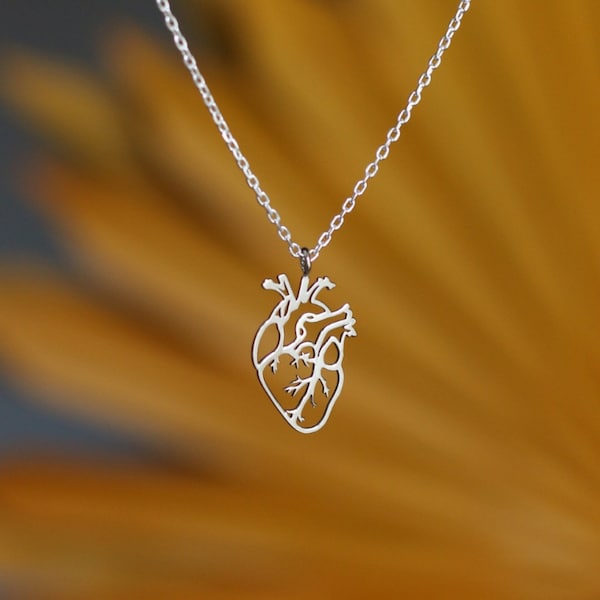 Colgante anatómico del corazón, colgante de plata de ley 925, joyería de órganos humanos, colgante hecho a mano, joyería de biología, regalo para el médico, mamá, ella