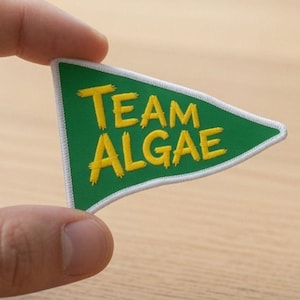 May include: A triangular embroidered patch with a green background and a white border. The text "Team ALGAE" is stitched in yellow thread across the centre of the patch. The patch is shaped like a pennant flag with a pointed end on the right side.