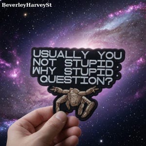 May include: Black patch with white embroidered text: "USUALLY YOU NOT STUPID. WHY STUPID QUESTION?" A brown creature graphic is below the text. The background is a purple and blue galaxy.