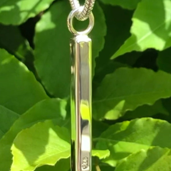 Sterling silver ingot pendant.