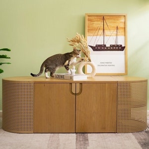 Iraheta modern litter box enclosure top