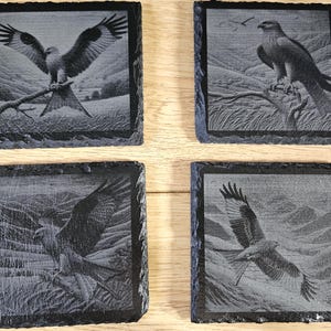 May include: Set of four black slate coasters featuring a black and white engraved image of a red kite in flight. The coasters are square shaped and have a rustic, natural look.