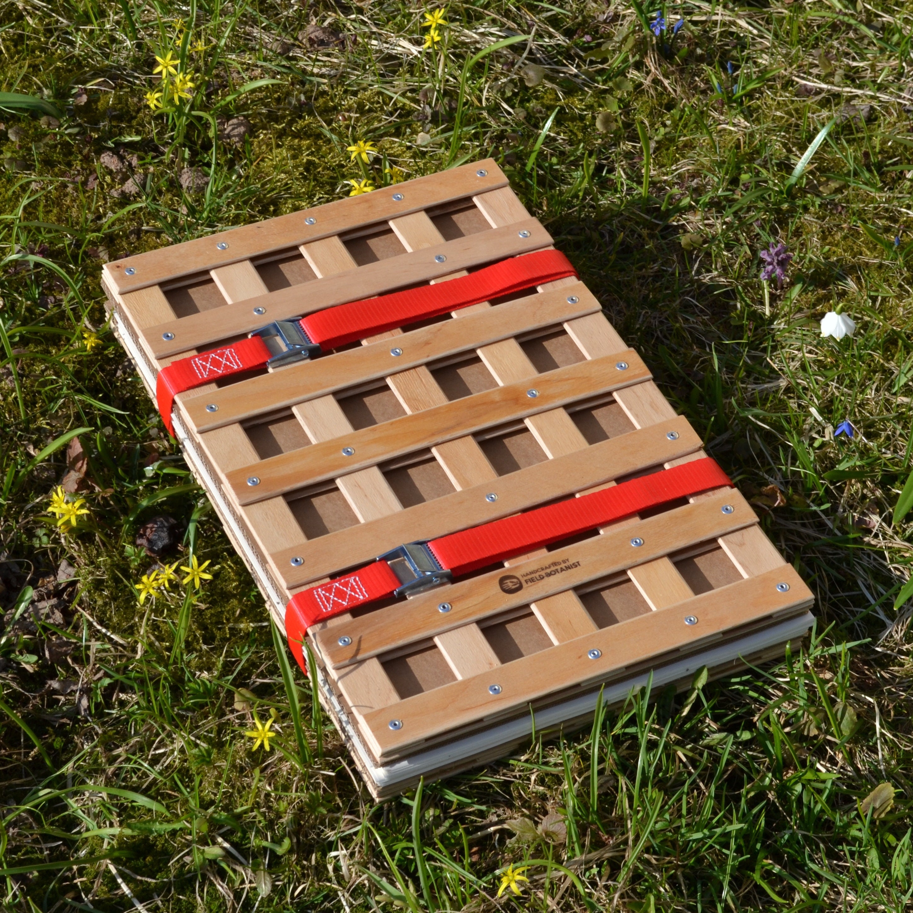 Large A3 Professional Plant Press Kit 12 X 18 for Field Botanists Etsy