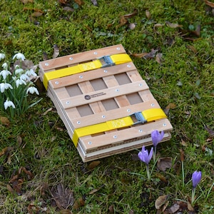 Flower Press Kit, Leaf/Flower/Plant Pressing. Medium A4, 9&quot; x 12&quot; (22.5 x 30 cm)