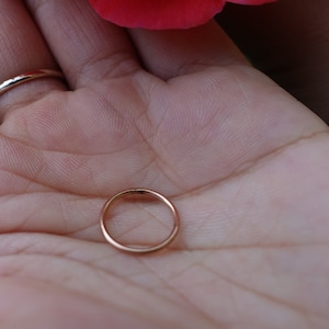 Rose Gold Hoop Oorbellen Voor Kraakbeen Piercing 16G 18G 20G Naadloze Oorbel Kwab Piercing Sieraden 316L Roestvrij Staal Clicker scharnierend