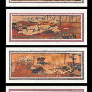 4 Tarjetas En Blanco Alargadas Shunga 6