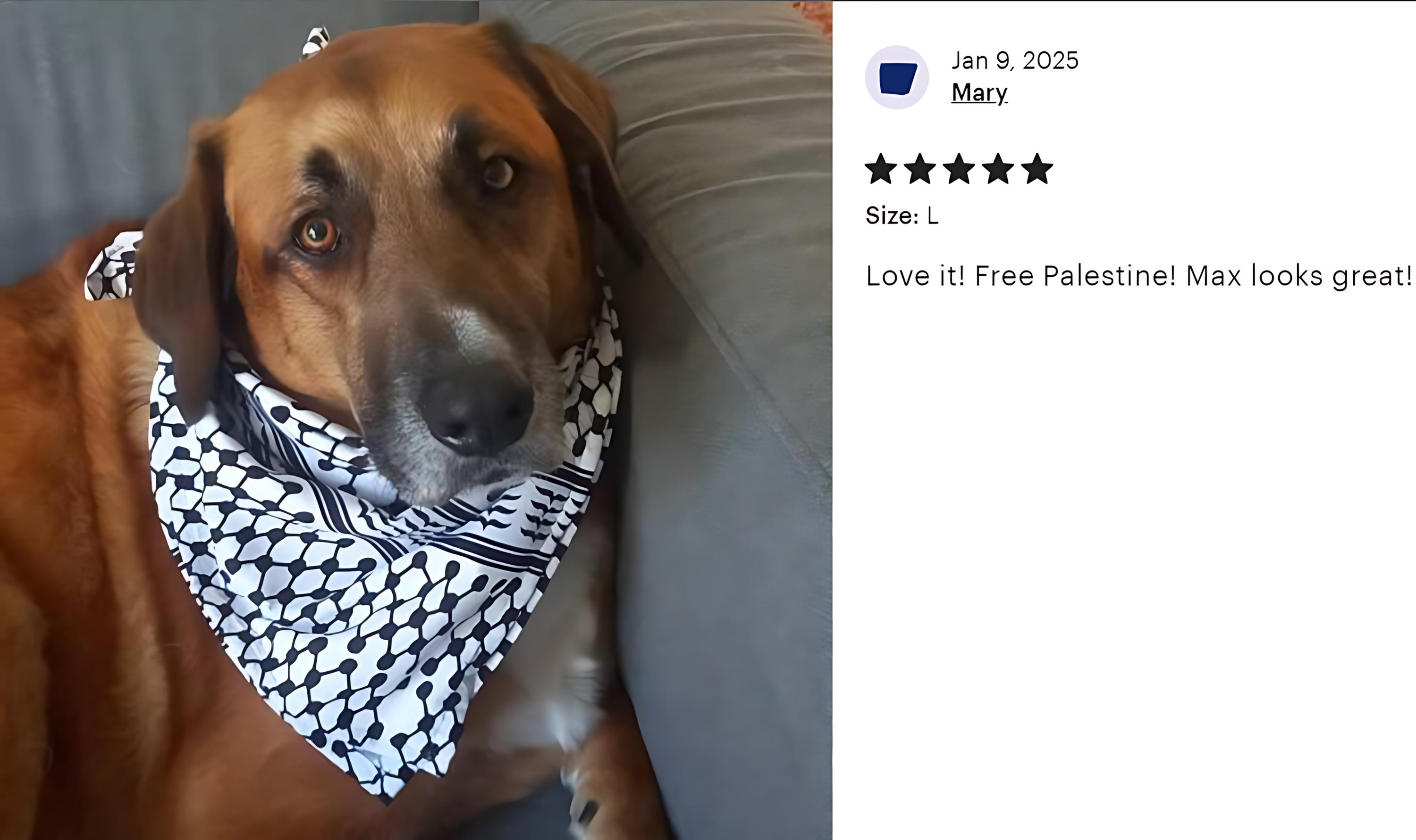 Blue And White Plaid Pet Bandana | The Luminous Pets