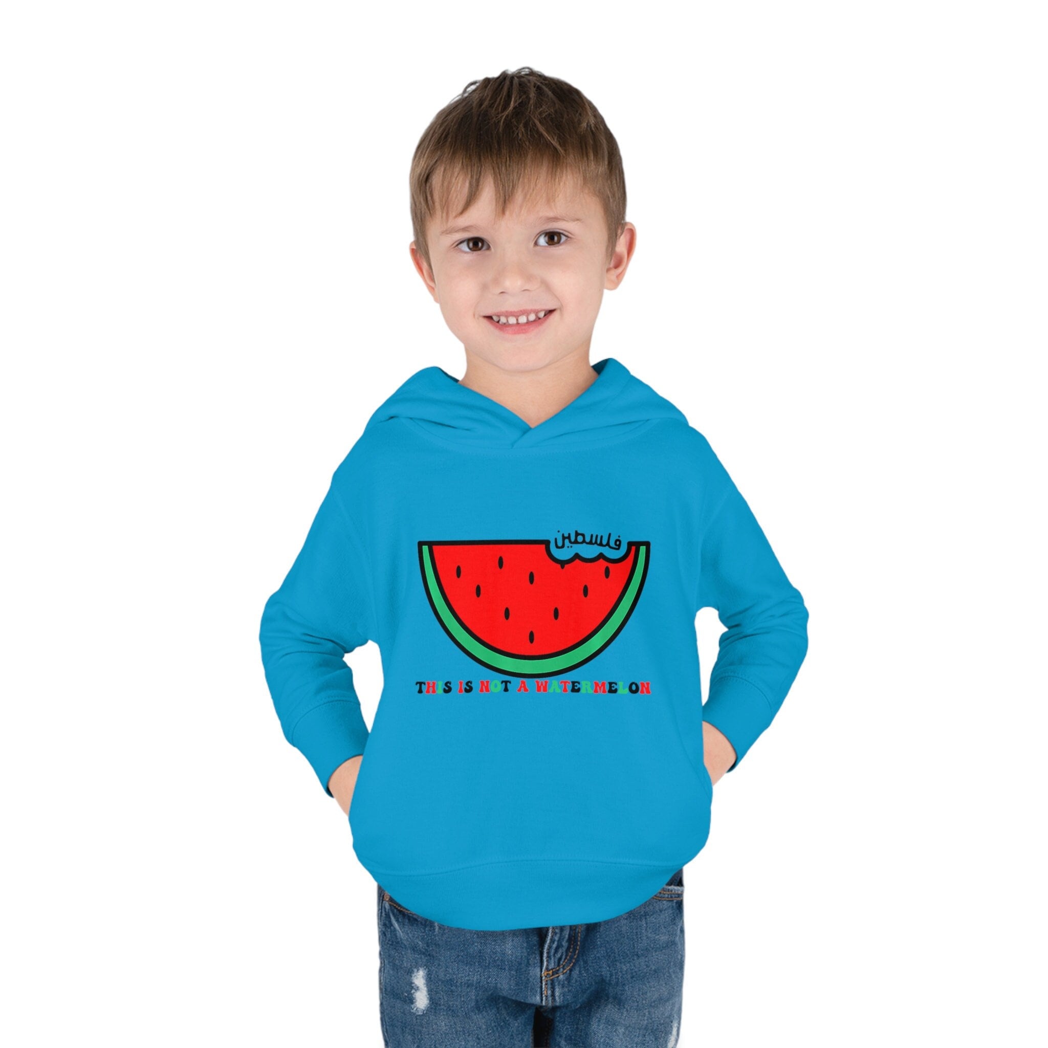 Toddler Palestine Watermelon Hoodie for 2 to 6 Year Olds in White Turquoise Gray Raspberry or Pink Little Kids Gaza Hoodie Gift Peace