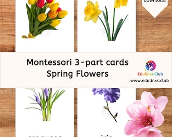 Spring Flowers Montessori 3-Part Cards & Nature Study Bundle (PDF)