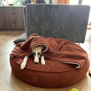 Pode incluir: Uma cama redonda para cães na cor marrom enferrujado, com uma manta com capuz a condizer. Um cão pequeno com pelo claro está aninhado na cama, espreitando por baixo da manta. A cama está sobre um chão de madeira.
