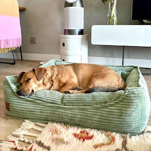 Cama de espuma viscoelástica para perros: cómoda cama de pana con funda extraíble