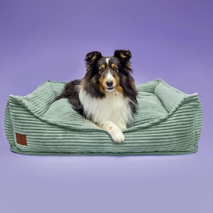Cama extragrande XXL para perros con funda extraíble y espuma viscoelástica