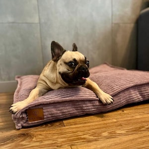 Dog Bed with pillow bed Dog Comfy
