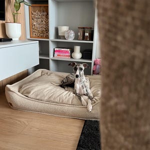 Boucle Dog Bed with Memory Foam Removable Cover