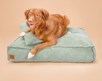 Lit pour chien avec coussin Dog Comfy