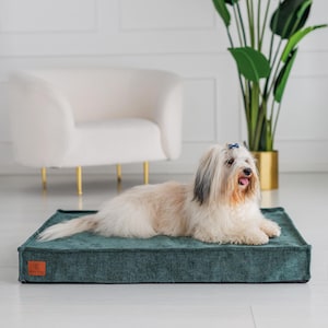 Pode incluir: Um cão pequeno e fofo com um laço azul está deitado numa cama para cães verde-azulado. A cama tem uma forma retangular e uma superfície texturizada. Uma cadeira branca com pernas douradas e uma planta em vaso estão no fundo.