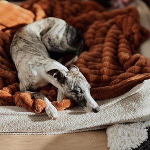 Super fluffy dog blanket, comfortable cozy softest blanket cover for the bed cover