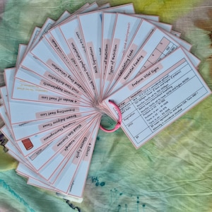 May include: A fan of flashcards with pink edges and a pink ring. The cards have titles such as "Neonatal Feeding", "Types of Nutrition", and "Preterm Vital Signs". The background is a colorful, tie-dye pattern.