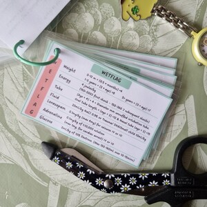 May include: A set of laminated cards with the acronym WETFLAG written in black on a pink background. The cards contain medical information for children, including weight, energy, tube, fluid, lorazepam, adrenaline, and glucose. The cards are organized in a binder with a green ring.