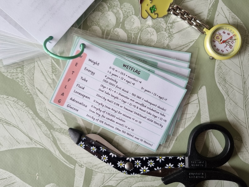 May include: A set of laminated cards with the acronym WETFLAG written in black on a pink background. The cards contain medical information for children, including weight, energy, tube, fluid, lorazepam, adrenaline, and glucose. The cards are organized in a binder with a green ring.