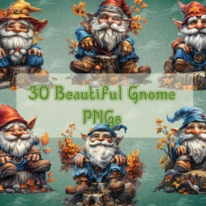Cute Gnome Clipart Bundle, 30 Woodland Tomte PNG Files, Whimsical Forest Pixie Sublimation Design, Fantasy Fall Art, Transparent Graphic Set